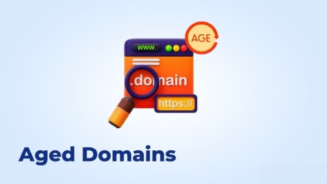 Mengapa Harus Memilih Aged Domain Cari di DomainPools!