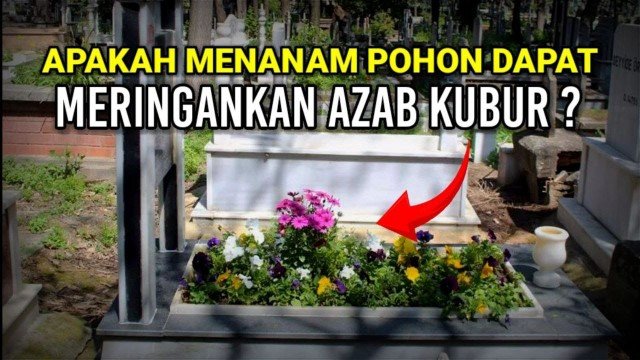 Apakah Tanaman di Kuburan Bisa Meringankan Siksa Kubur? Simak Penjelasannya!