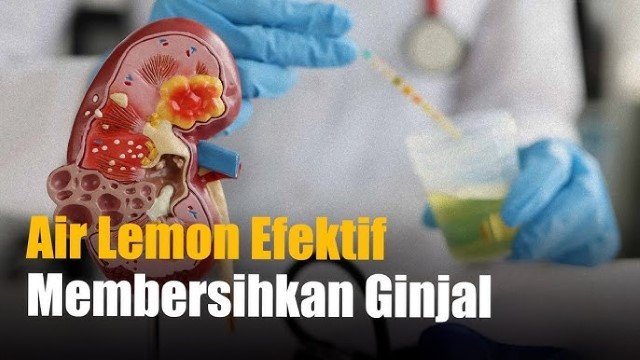 DAFTAR 8 Makanan Pembersih Ginjal Alami yang Aman dan Menyehatkan