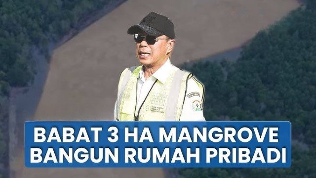 HEBOH Gubernur Sultra Andi Sumangerukka ‘Babat’ Hutan Mangrove 3 Hektare Demi Bangun Rumah Pribadi