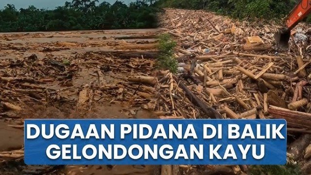 Kemenhut Buru ‘Mafia Kayu’ di Balik Banjir Sumatera, Modus Canggih Terungkap!
