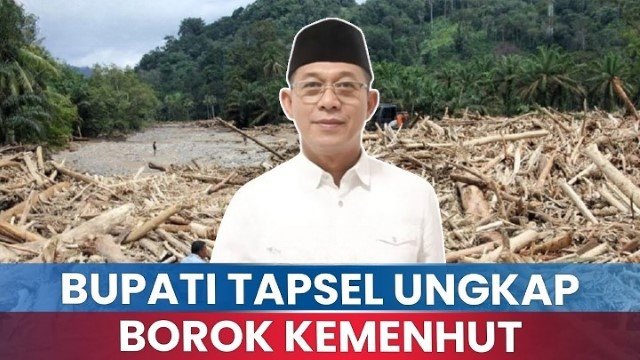 Debat Panas Bupati Tapsel vs Kemenhut Soal Polemik Kayu Gelondongan