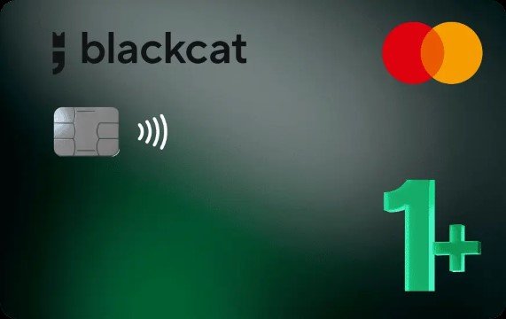 From Bank Dependency to Financial Freedom How Blackcat Wallet Empowers The Modern User