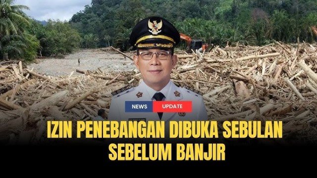 HEBOH Bupati Gus Irawan Bongkar Surat Kemenhut Soal Penebangan Liar: Sudah Kita Setop Tapi Tiba-Tiba Dibuka Lagi!