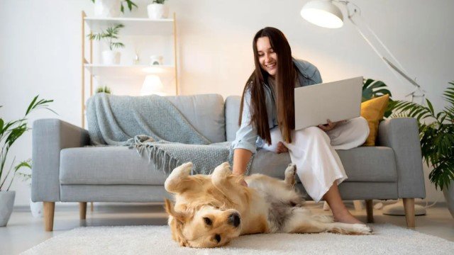High-Rise Pet Ownership: 7 Things Castle Hill Apartment Dwellers Should Know Before Getting a Puppy
