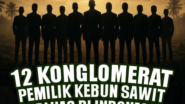 Inilah 12 Sosok Pemilik Kebun Sawit Terluas di Indonesia, Ada yang Punya 500.000 Hektare!