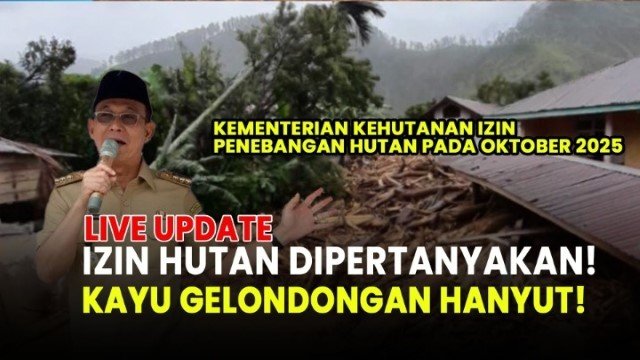 Kontroversi Pernyataan Kemenhut Soal Asal Muasal Gelondongan Kayu Besar Terbawa Arus Banjir di Sumatera