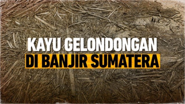 Mengejutkan! Hasil Analisis Pakar IPB Soal ‘Kayu Gelondongan’ di Lokasi Longsor Sumut