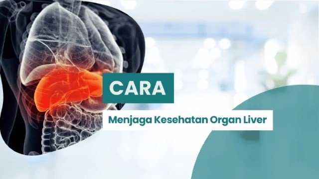 Langkah Sederhana Menjaga Kesehatan Liver dengan Curcumin Alami