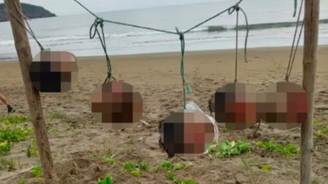NGERI! Lima Kepala Manusia Tergantung di Pantai Favorit Turis di Ekuador