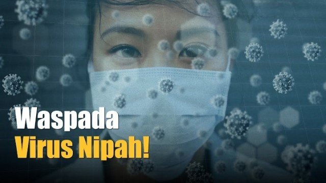 Ubud Siap Hadapi Ancaman Nipah Virus Kenak Medika Hospital Tingkatkan Kesiapan Medis untuk Wisatawan
