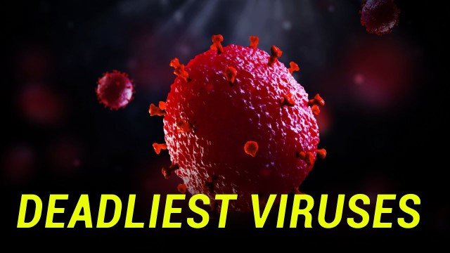 10 Virus Paling Mematikan Sepanjang Sejarah Dunia, Virus Nipah Termasuk