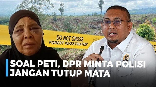 Darah Nenek Saudah Bikin DPR Murka, Mafia Tambang Ilegal Pasaman Terancam Dibabat Habis!