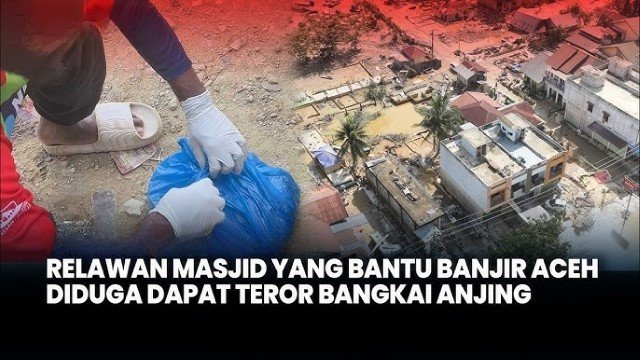 Ngeri! Relawan Kemanusiaan Asal Jogja di Aceh Kena Teror, Dikirimi Bangkai Anjing Tanpa Kepala
