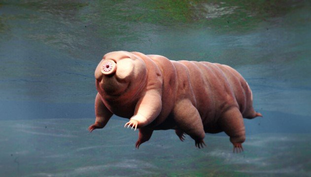 Ilmuwan Akhirnya Temukan Kelemahan Hewan Terkuat di Bumi