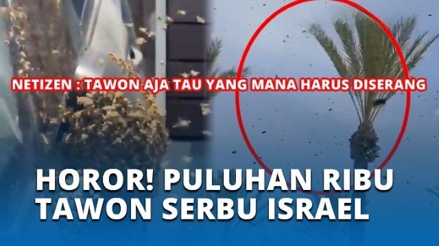 HOROR! Ribuan Lebah Serbu Kota Netivot Israel, Benarkah Terkait Nubuat Alkitab