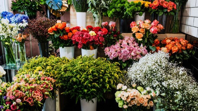Toko Bunga Jakarta 24 Jam Terpercaya untuk Berbagai Kebutuhan Acara