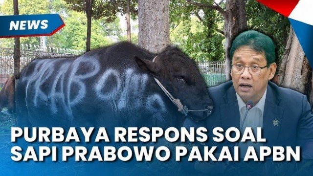 Bagaimana Bisa? Sapi Kurban Presiden Rp100 Miliar Sedot APBN, Tapi Menkeu Sendiri Mengaku Tidak Tahu