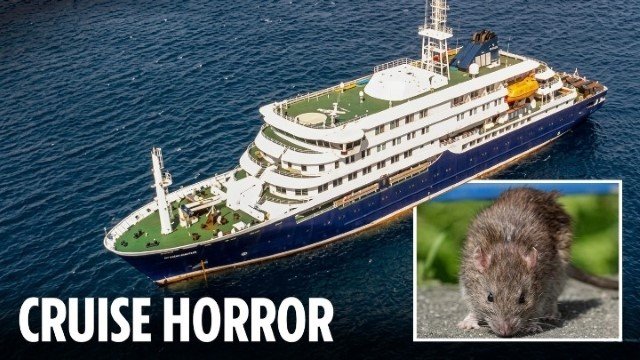 Kronologi Virus Mematikan Baru Nyebar di Kapal Pesiar, WHO Buka Suara!