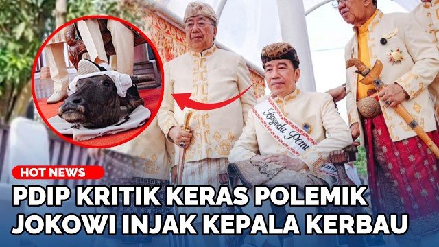 Sinyal Perang Lawan PDIP Ini Arti Sesungguhnya di Balik Aksi Nyeleneh Jokowi Injak Kepala Kerbau!