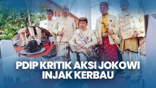 Terungkap! Dituding Rendahkan PDIP, Ini Arti Mendalam Jokowi Injak Kepala Kerbau Menurut Tokoh Adat Lampung