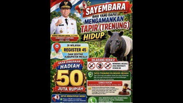 VIRAL! Bupati Mesuji Gelar Sayembara Tangkap Tapir Hidup-Hidup, Hadiah Rp 50 Juta