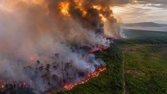 Kalimantan Kembali Membara! Asap Karhutla Mulai Ancam Negeri Jiran, Bayangan Krisis 1998 Menghantui