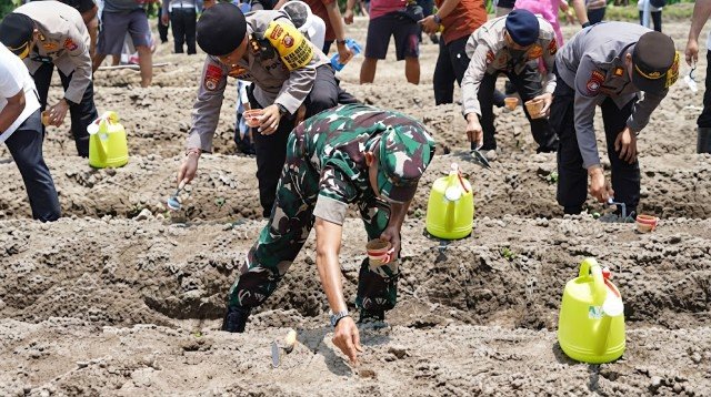 Petinggi PDIP Sampai Geleng-Geleng Kepala Lihat Tentara dan Polisi Kini Malah Disuruh Nanam Jagung!