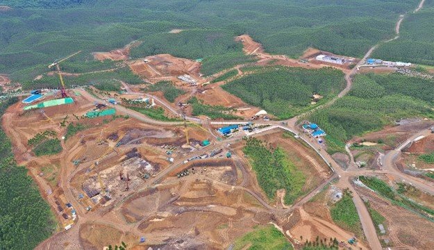 Skandal Kayu IKN! Ekonom Bongkar Penjualan Pohon Lahan Ibu Kota Baru Tembus Triliunan, Ke Mana Larinya