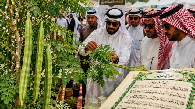 Tanaman di Indonesia Ini Disebut dalam Al-Quran, Warga Arab Kompak Serbu!