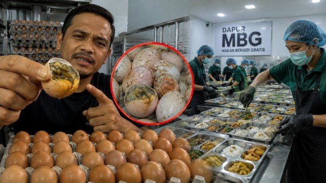 VIRAL! Peternak Ayam Bongkar Kelakuan Oknum Dapur MBG Ingin Beli Telur Nyaris Busuk hingga Manipulasi Harga