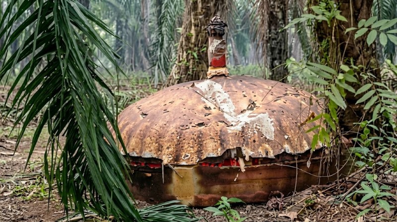 Misterius! Benda Logam Mirip Kubah Kembali Ditemukan di Kebun Sawit Kotim Kalteng