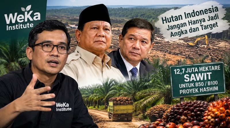 WeKa Institute Soroti Langkah Hashim Adik Prabowo Bidik Penguasaan 12,7 Juta Hektare Lahan Sawit!